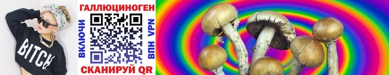 Галлюциногенные грибы Cubensis  купить наркоту  Тихвин 