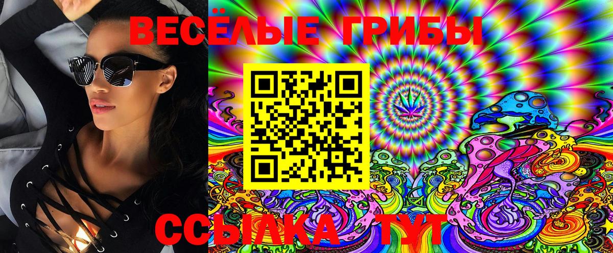 Псилоцибиновые грибы Magic Shrooms  купить наркоту  Тихвин  Вход с VPN 